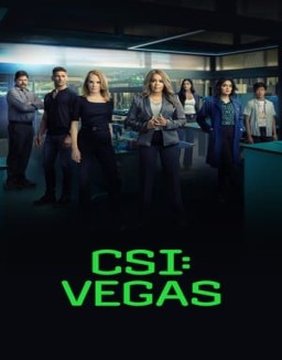 CSI: Vegas saison 2